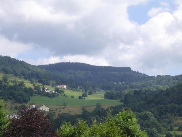 Chalet De Grettery Saulxures-sur-Moselotte Экстерьер фото